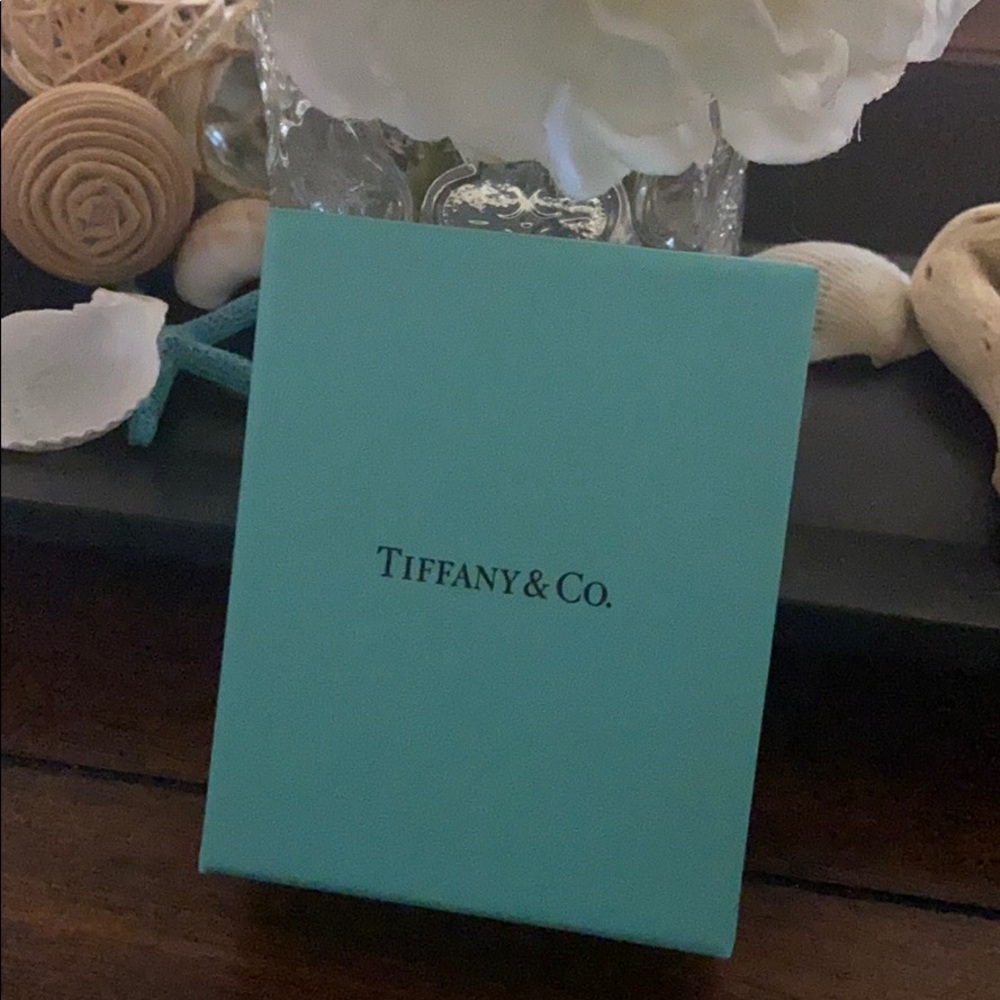 Tiffany pouch and box 💚